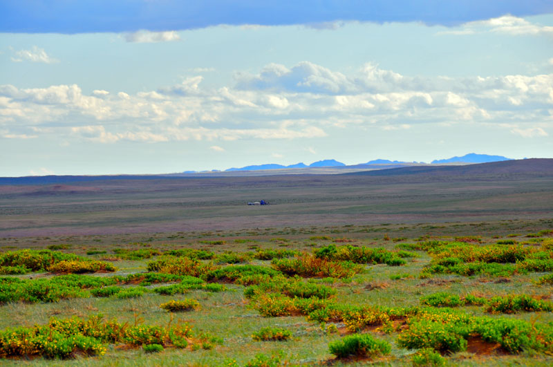 Mongolie